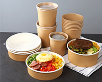 WSFM1100-2000B型全自動高速綠色環(huán)保雙面淋膜機(jī)